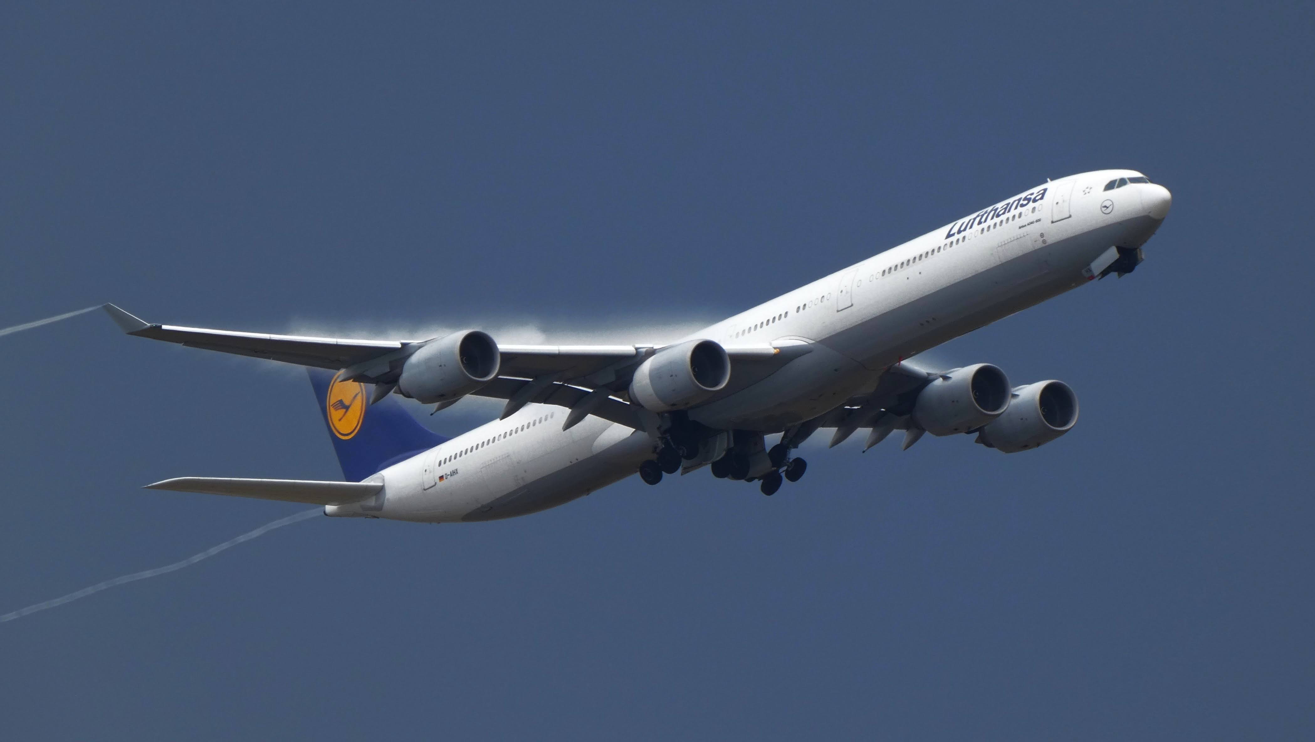 Lufthansa A340-600 · Vier Triebwerke im Steigflug · Ein Community-Beitrag von Nils Petri · © @Planespotting_by_Nils_Petri