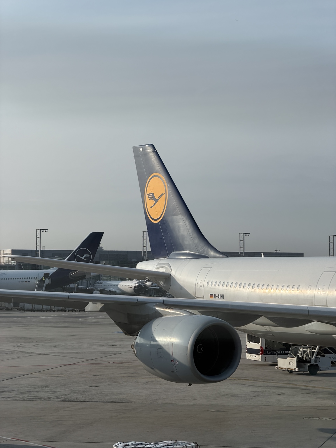 Triebwerk, Leitwerk und die Kennung D-AIHW. · © jetpix_th