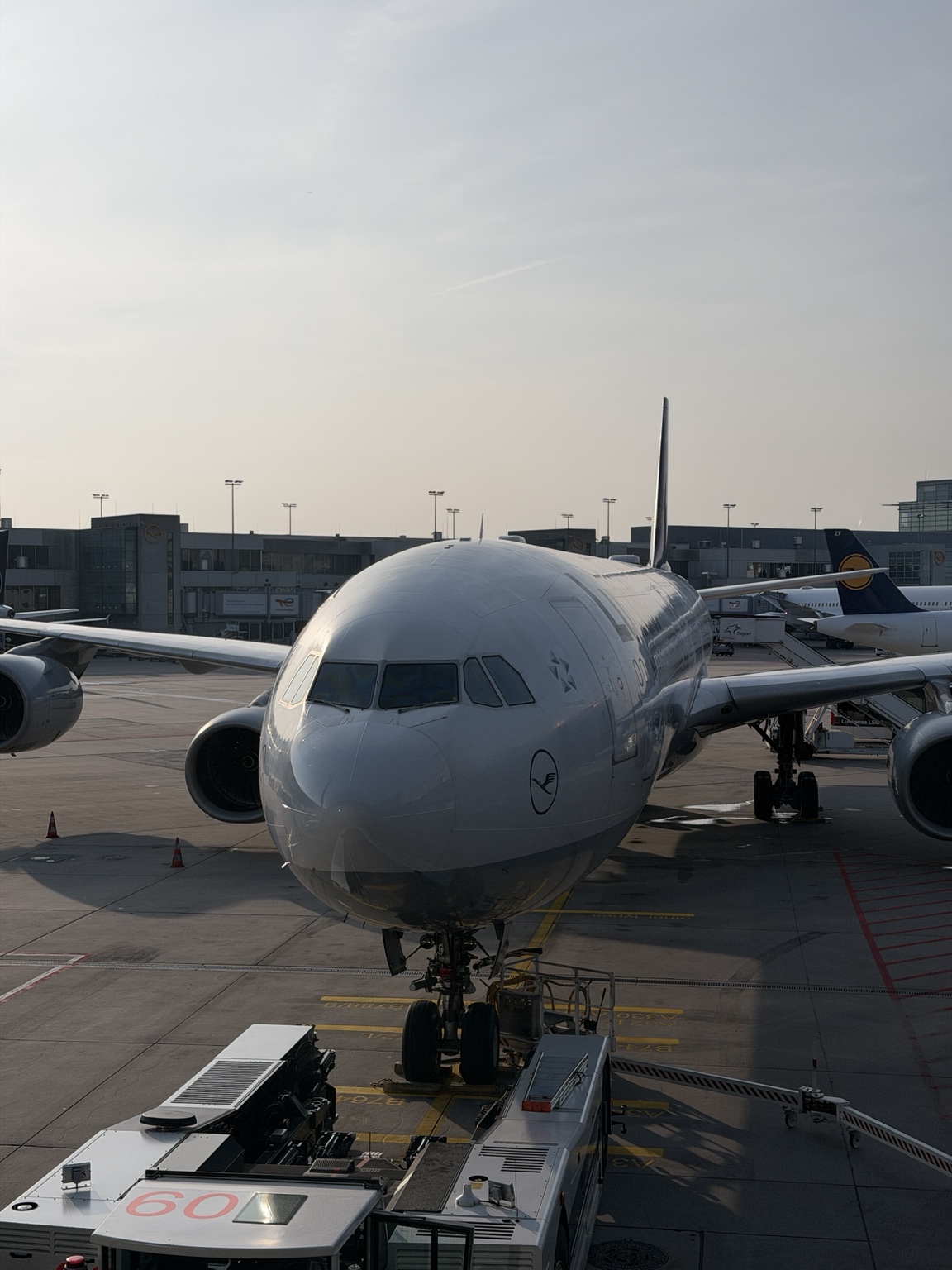 Der Blick von vorn am Gate. · © jetpix_th
